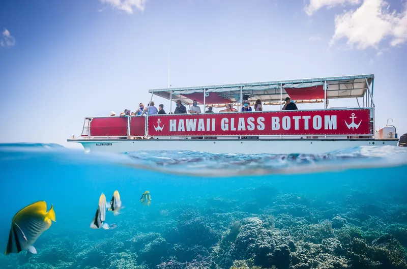 Glasbodenboot-Tour in Waikiki