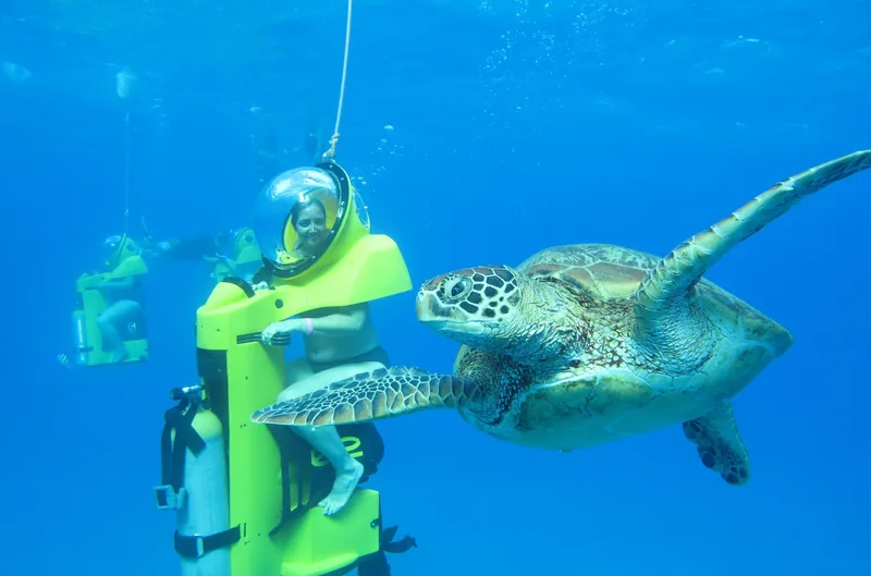 Unterwasser-Scooter-Abenteuer, Maunalua Bay