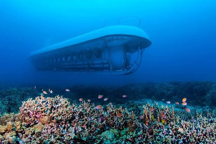 Das U-Boot von Kona über einem natürlichen Korallenriff mit Fischen