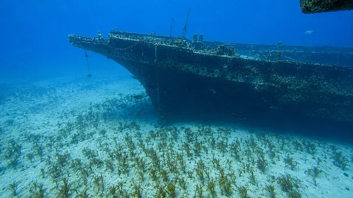 Das Wrack der Carthaginian vor Lahaina mit Fischen am Meeresboden