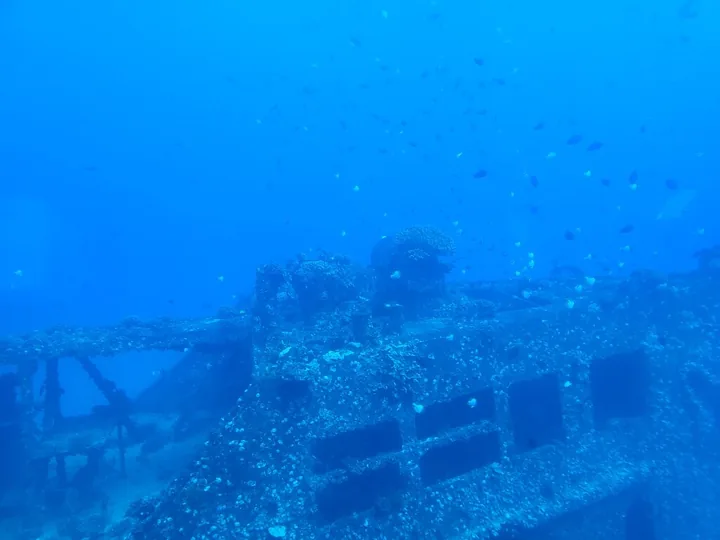 Ein korallenbewachsenes Schiffswrack, gesehen durch ein Bullauge des U-Boots